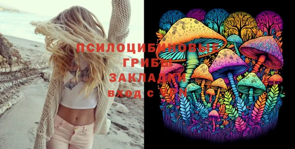 spice Богородск