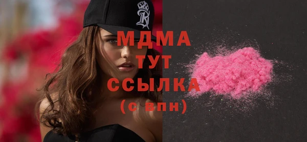 spice Богородск