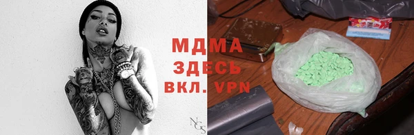 spice Богородск