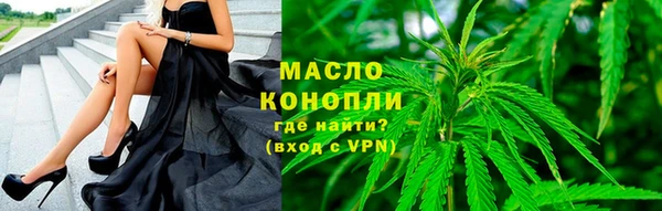 spice Богородск