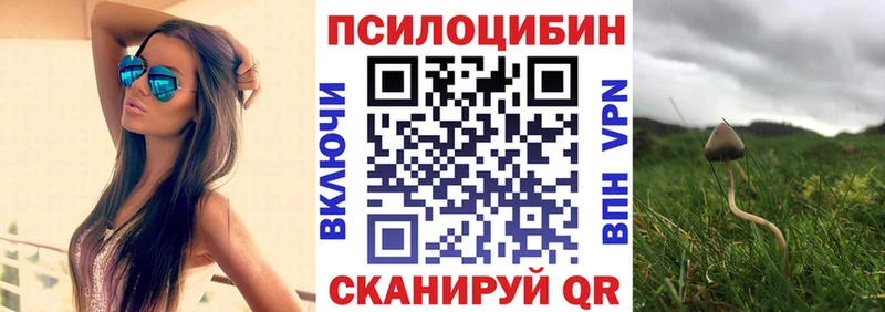 Псилоцибиновые грибы Cubensis  Котельниково 
